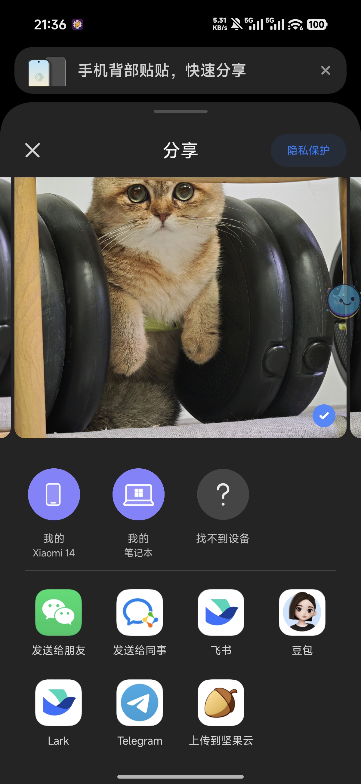 清理后的分享菜单