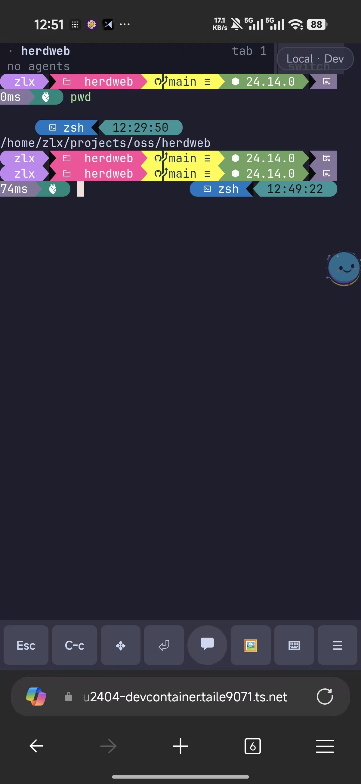 HerdWeb 手机端实际界面:底部八个一级操作按钮,Herdr 会话完整渲染,右上角可切换服务器